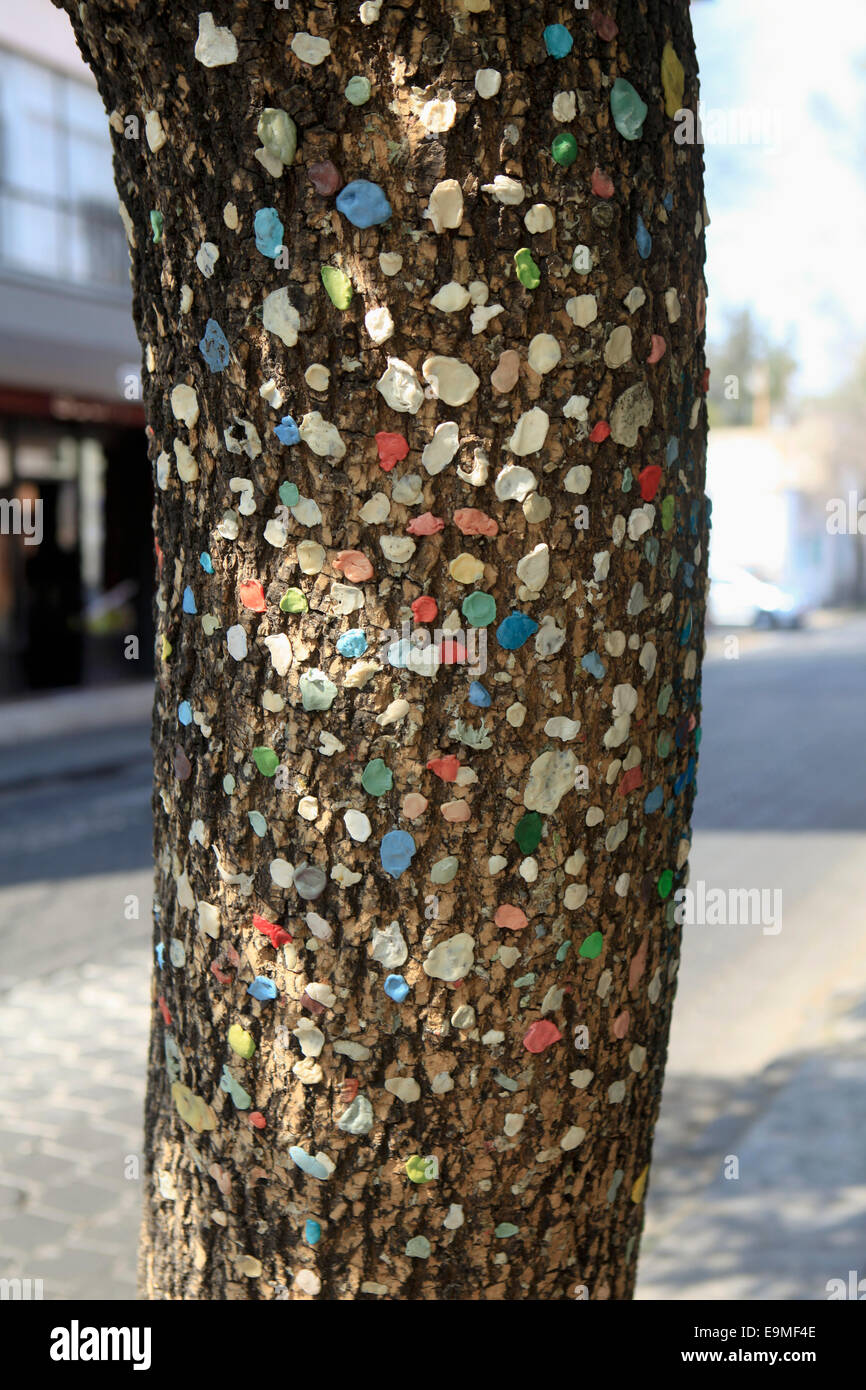 Les gommes mâchées bubble on tree trunk Banque D'Images