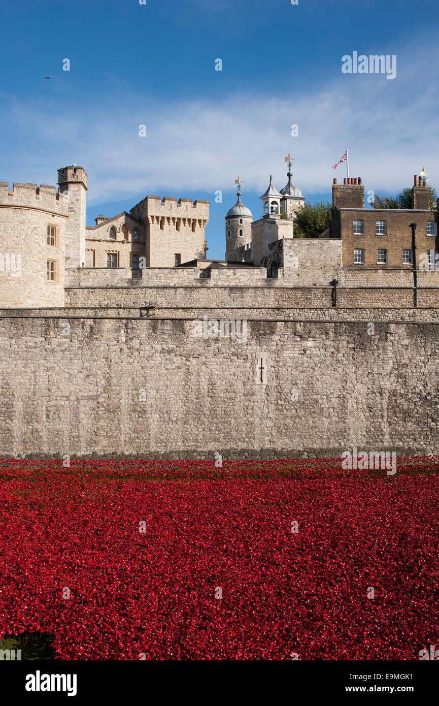 Les terres et les mers de sang ont balayé de rouge, l'installation de pavot à la Tour de Londres, Tower Hamlets, London, UK. Octobre. Banque D'Images