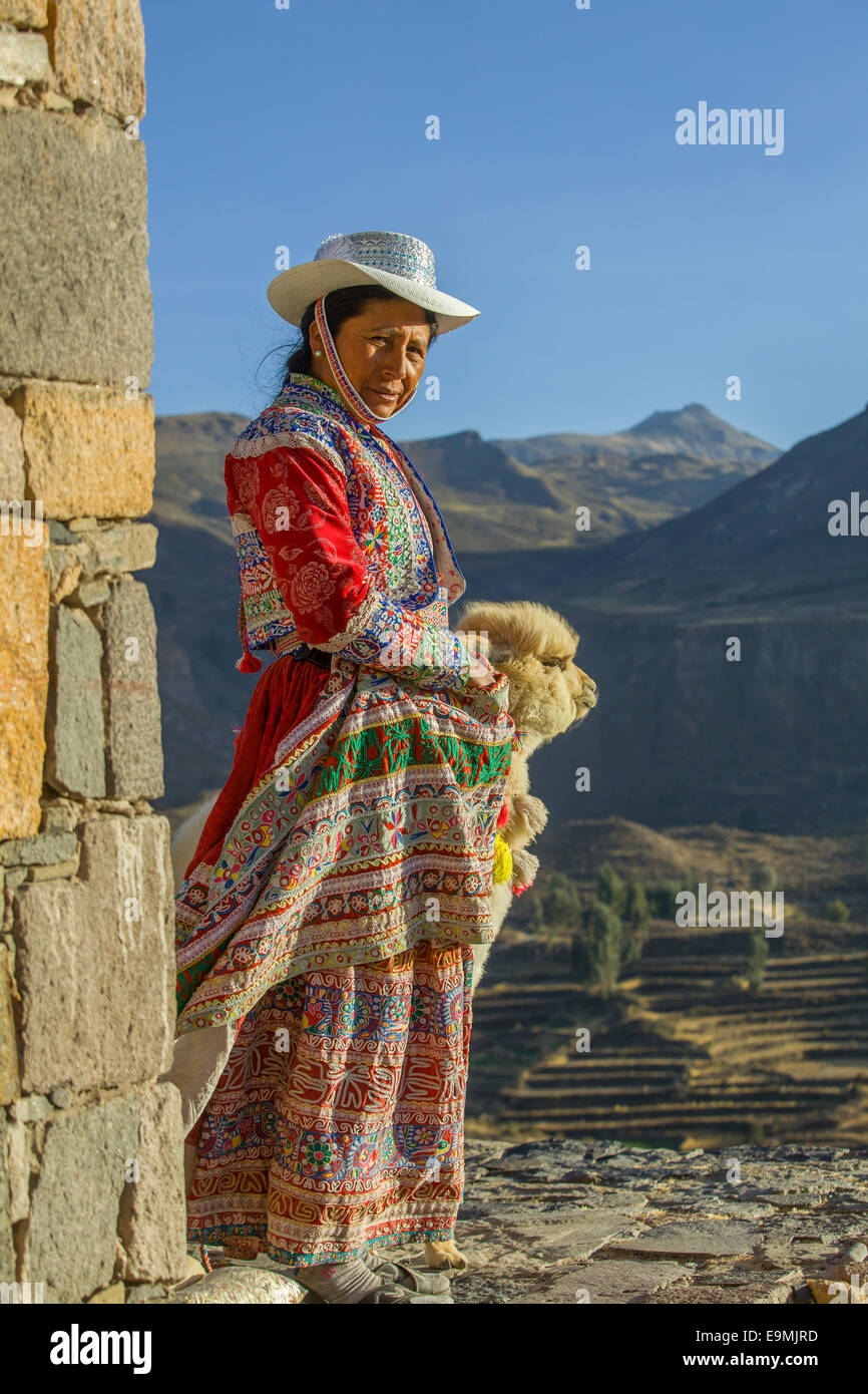 Femme péruvienne traditionnelle avec bébé alpaga posant dans le Canyon de Colca Banque D'Images