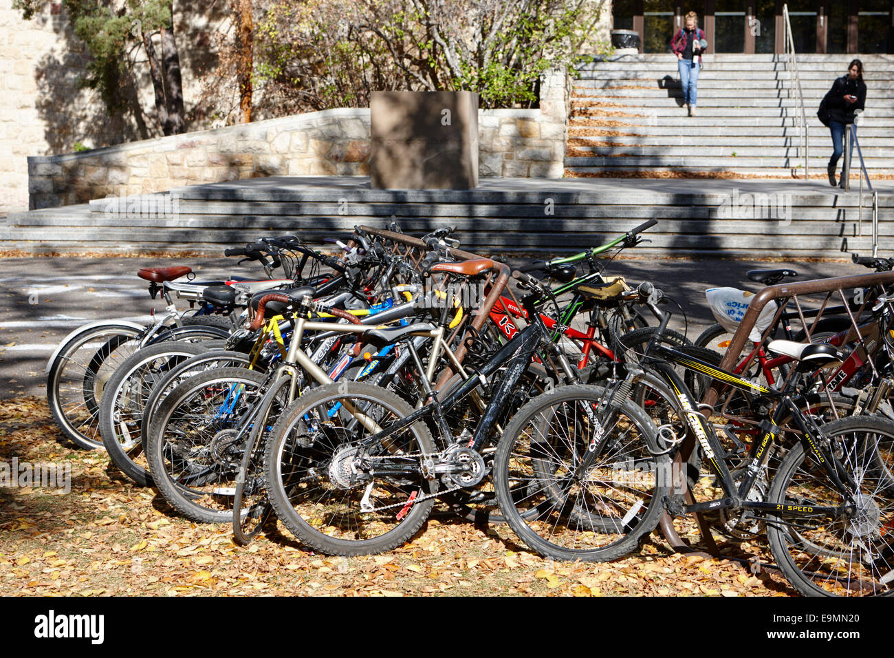 Un grand nombre de bicyclettes en stationnement sur un campus de l'université Saskatchewan Canada Banque D'Images