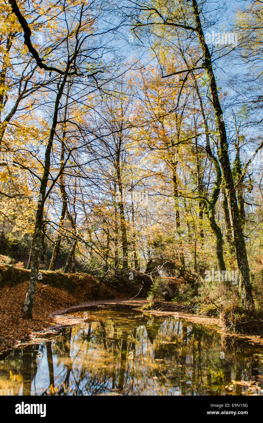 Vue d'automne du parc national de geres Banque D'Images