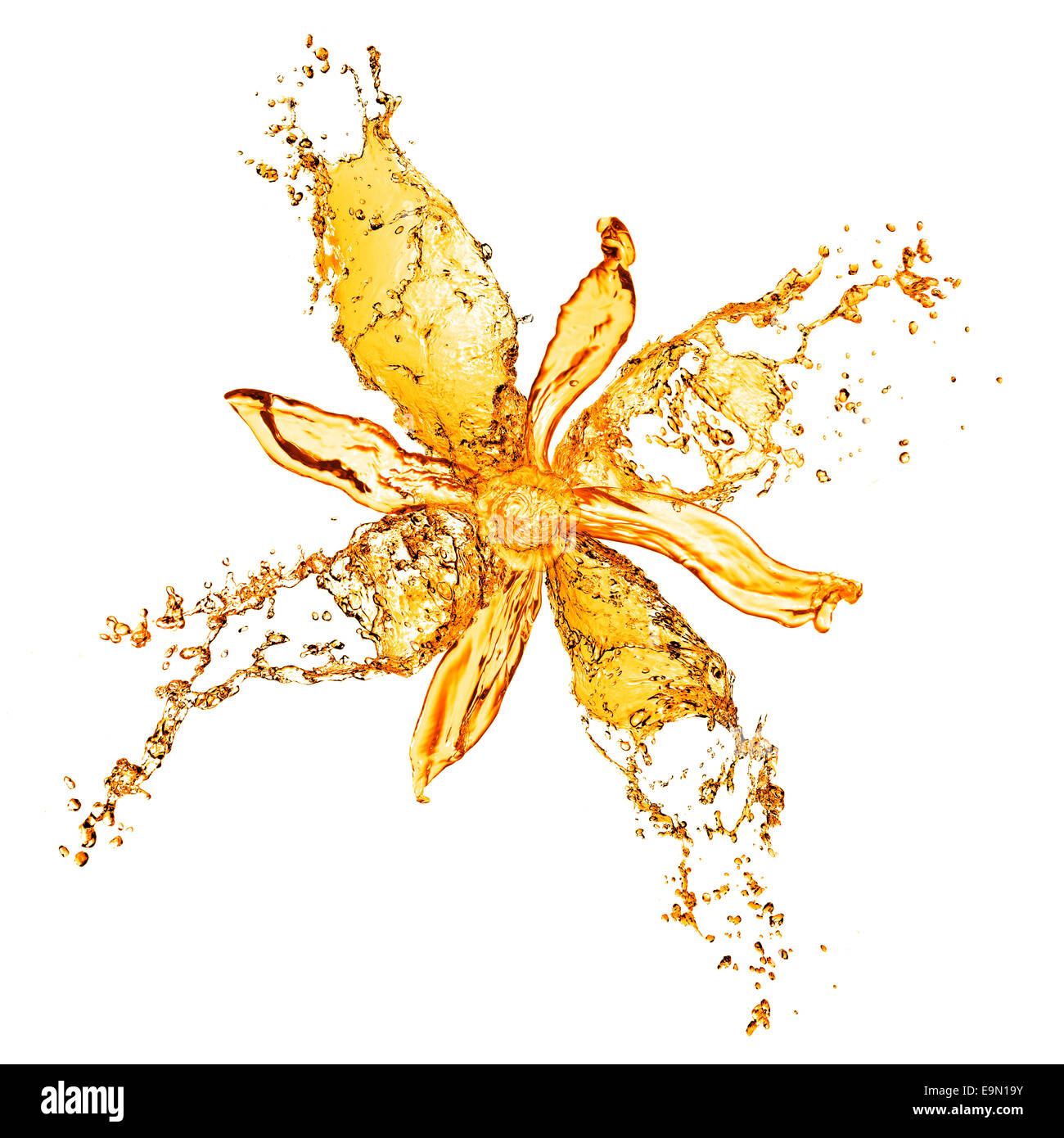 Les projections d'eau de fleur isolated on white Banque D'Images