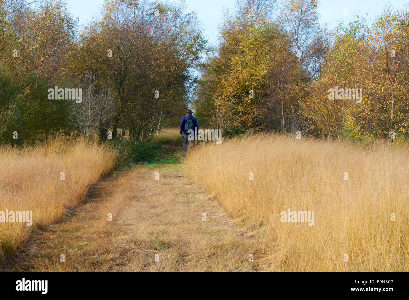 Impressions dans le moor Banque D'Images