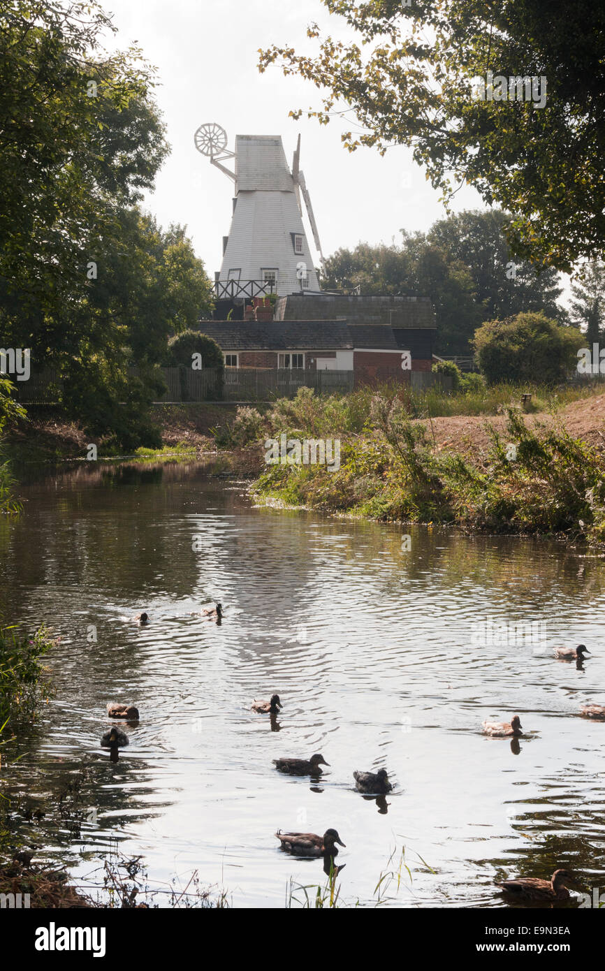 Canards sur la rivière à Bredge Gibbets Mill, une maquette moulin dans le seigle sur la rivière Brede, East Sussex, Angleterre Banque D'Images