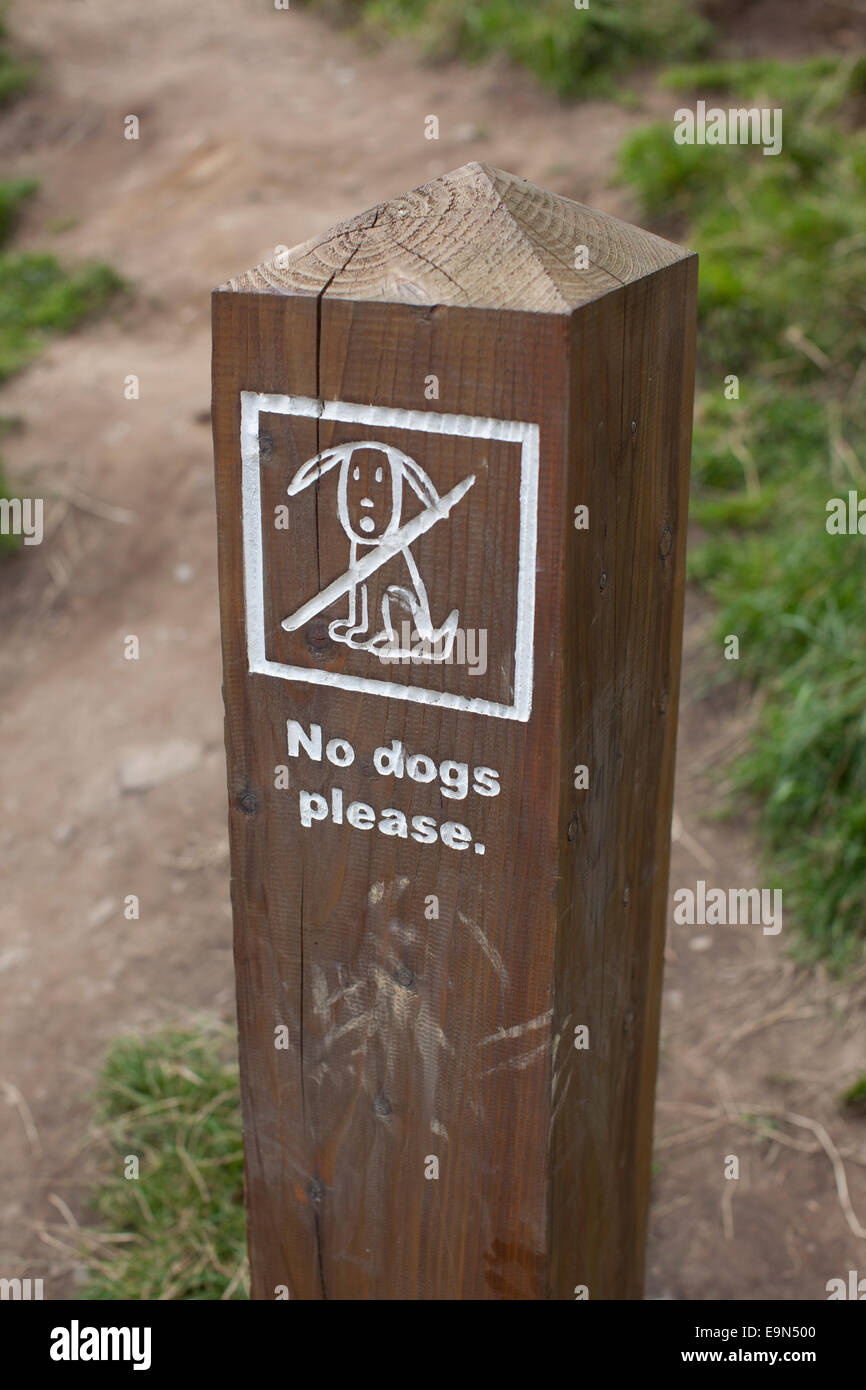 Un Pas de chien Veuillez signer dans un parc, sur un poste en bois. Banque D'Images