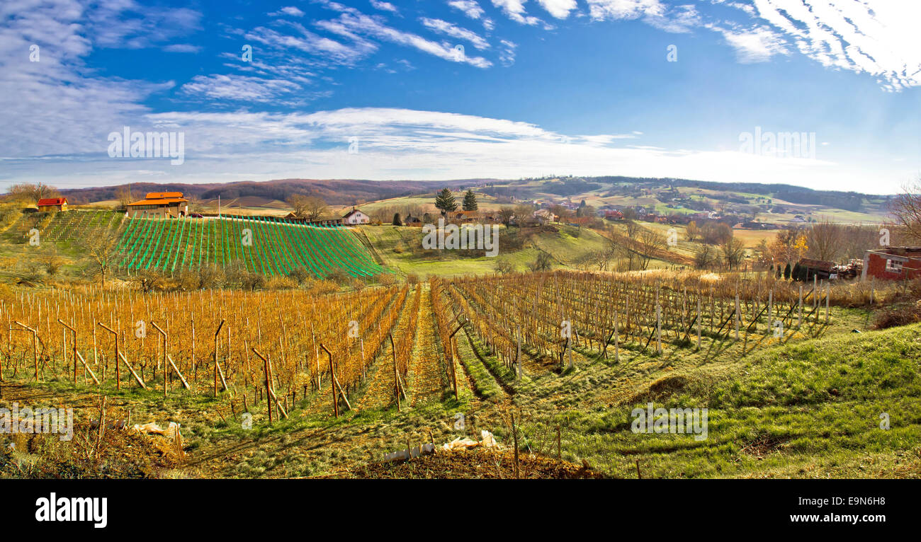 Paysage viticole de Bilogora en Croatie Banque D'Images