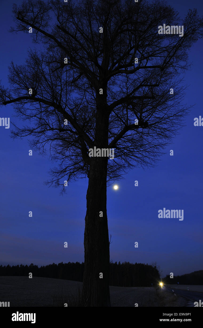 Heure bleue Banque D'Images