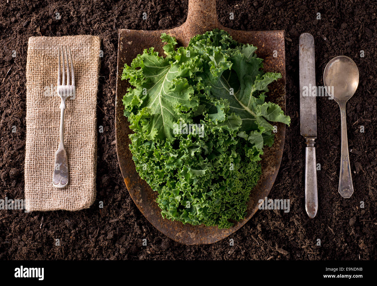 Ferme biologique à la table une saine alimentation concept sur fond de sol. Banque D'Images