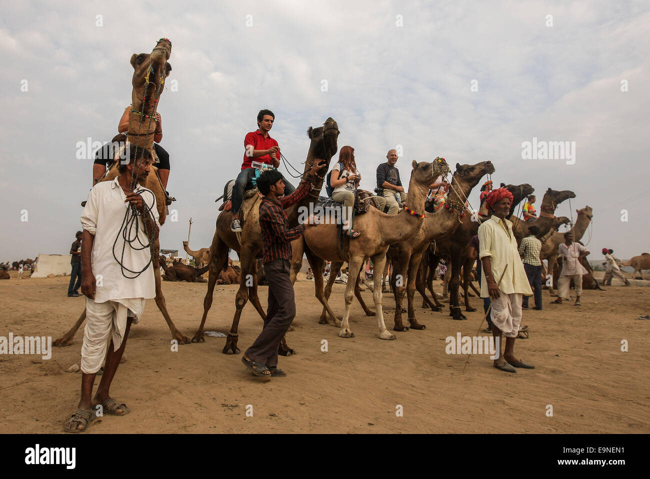 Le Rajasthan, Inde. 30Th Oct, 2014. Les touristes monter sur des chameaux dans un marché aux chameaux, le jour avant le Festival du chameau à Pushkar, Inde du Rajasthan, le 30 octobre 2014. Source : Xinhua/Alamy Live News Banque D'Images
