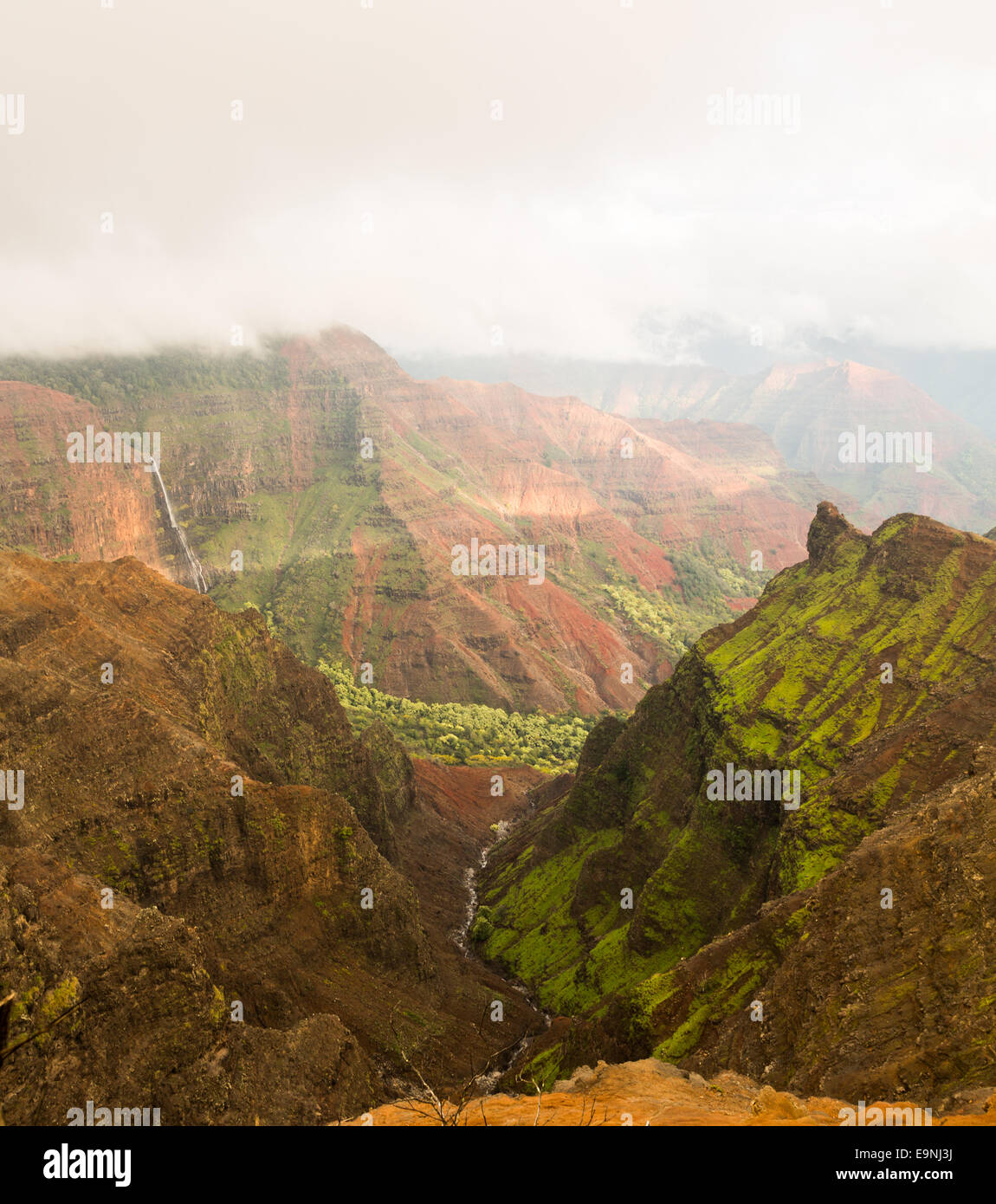 Waimea Canyon Kauai island Hawaii Banque D'Images