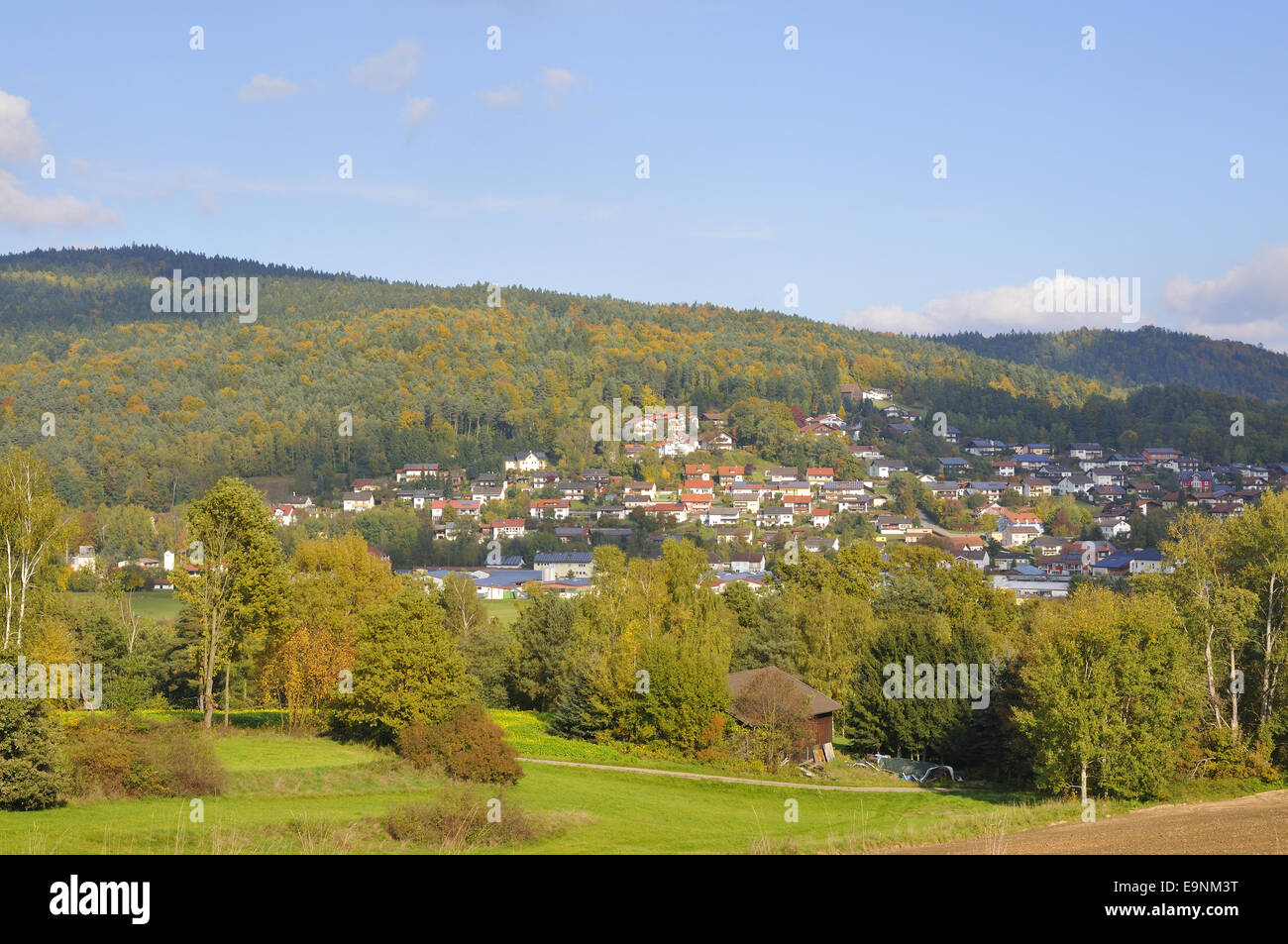 Forêt bavaroise Banque D'Images