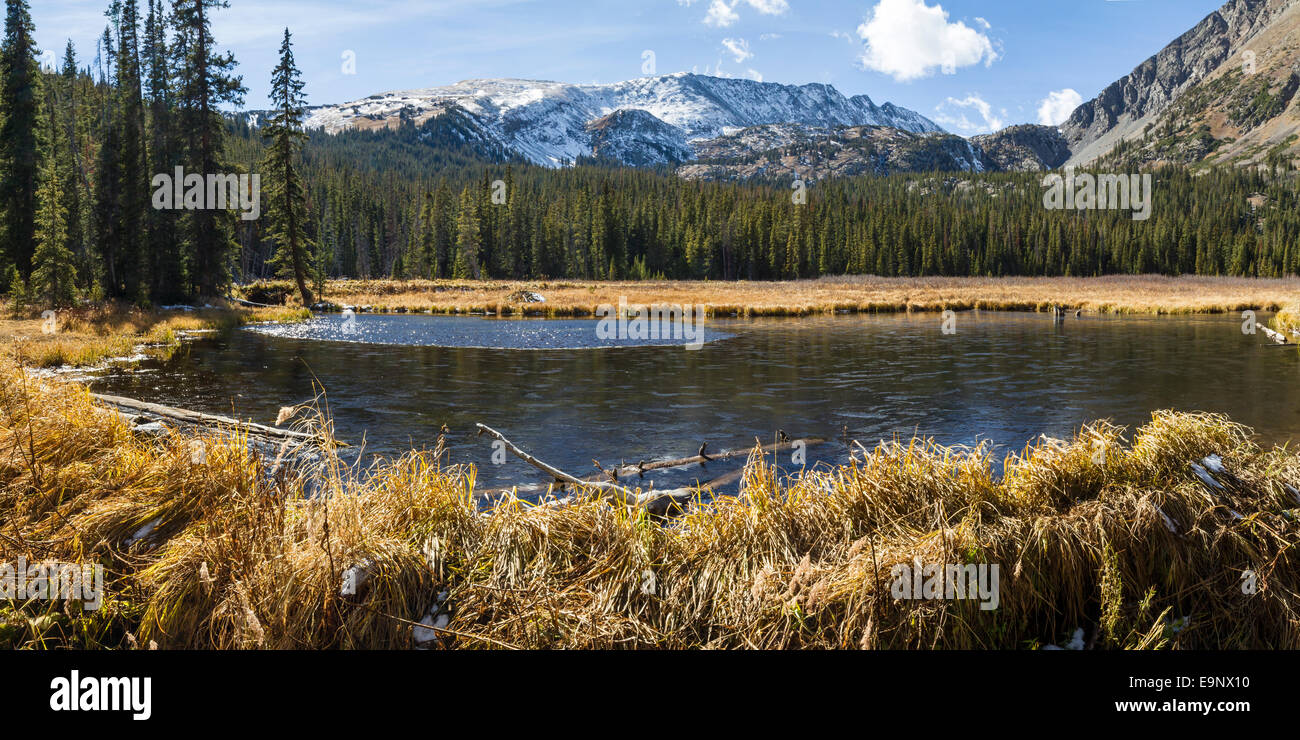 La moitié des étangs gelés créé par les castors sur les lacs Mohawk trail près de Breckenridge, Colorado dans les Rocheuses. Banque D'Images