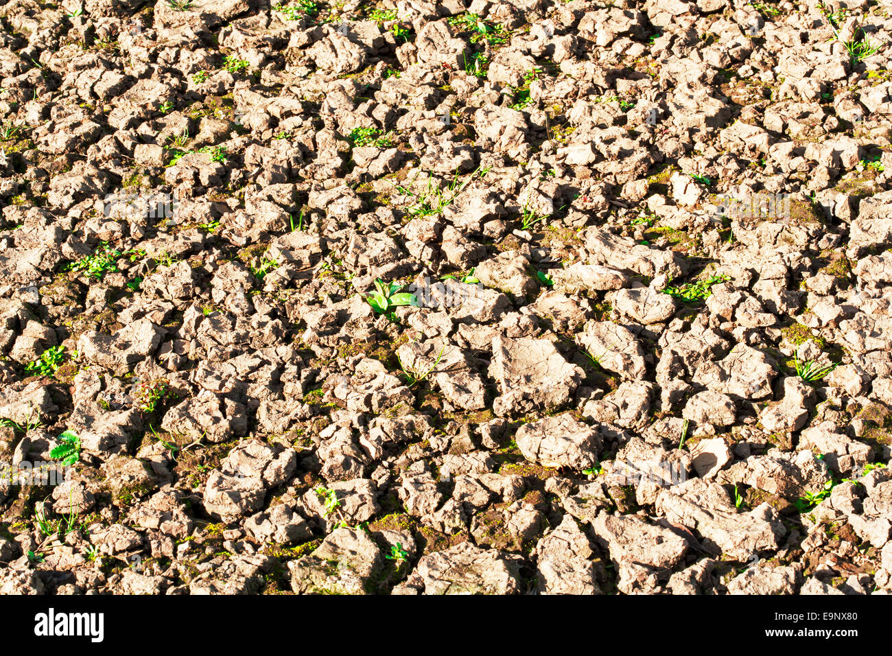 Une image de terres agricoles arides desséchées et n culture. Banque D'Images