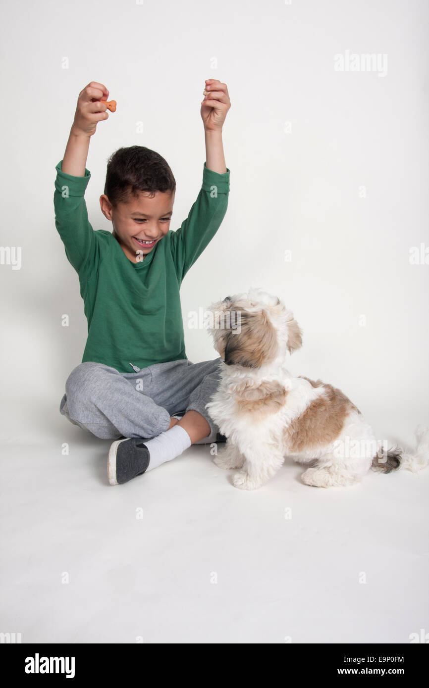 Jeune garçon encouraing shih tzu terrier puppy avec des friandises Banque D'Images