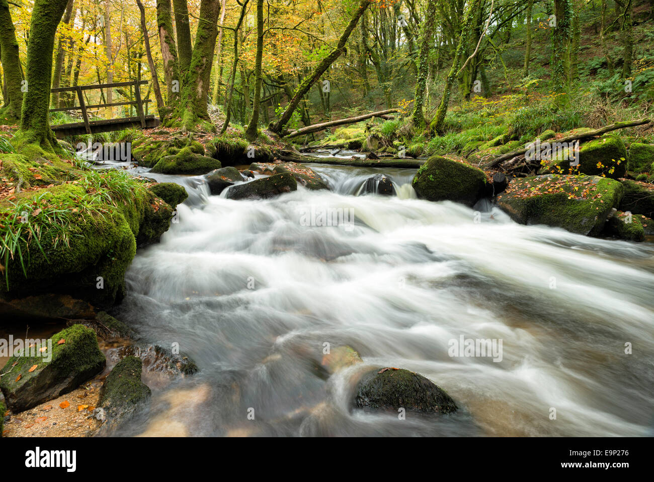 Golitha Falls, à l'automne woods sur Bodmin Moor en Cornouailles Banque D'Images