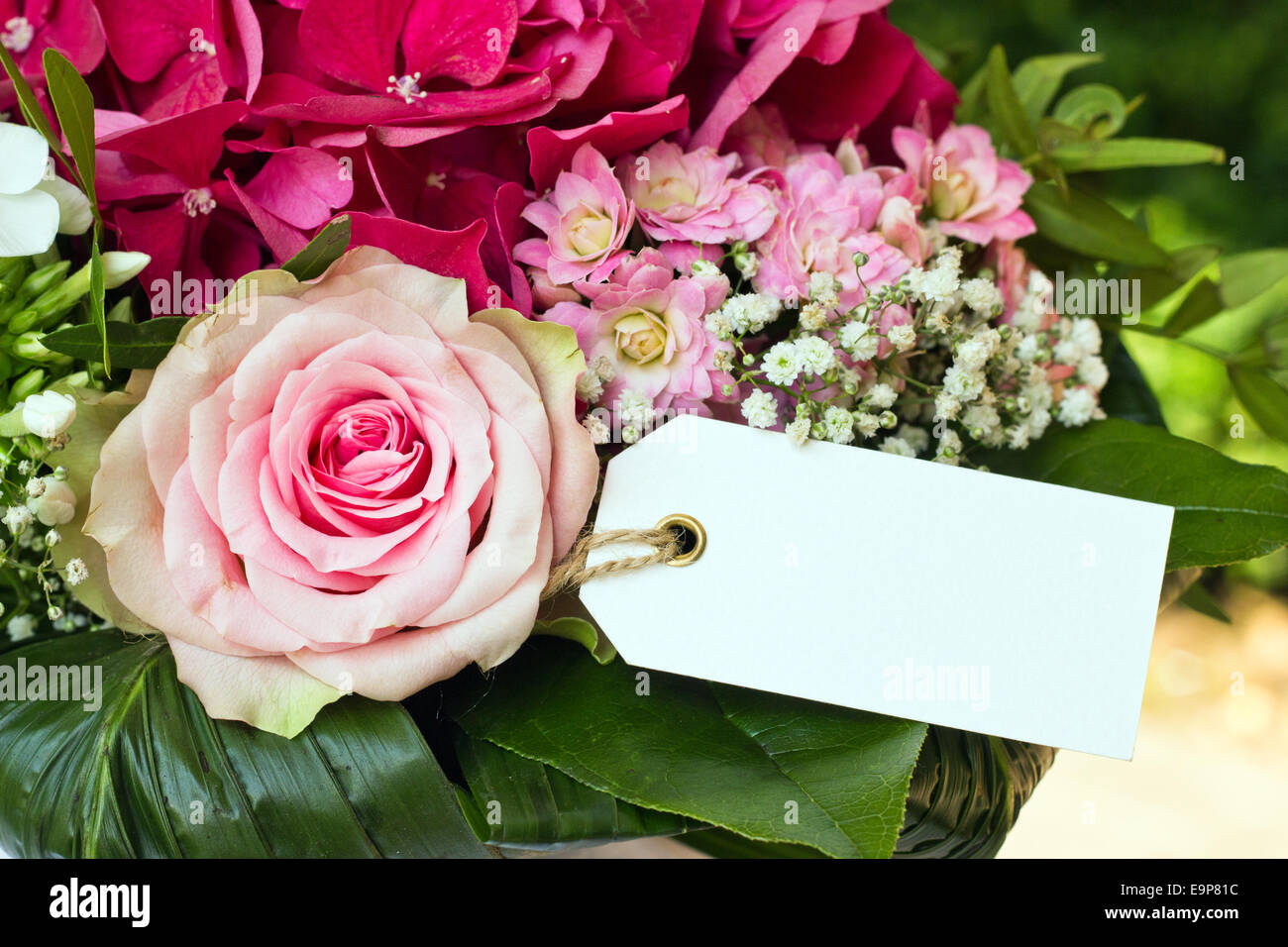 Avec un bouquet de rose rose Banque D'Images