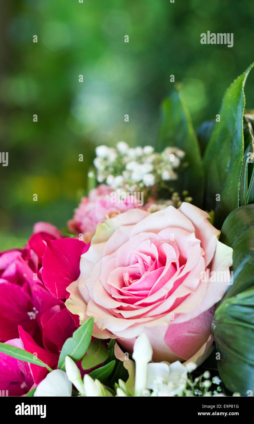 Bouquet de rose rose Banque D'Images