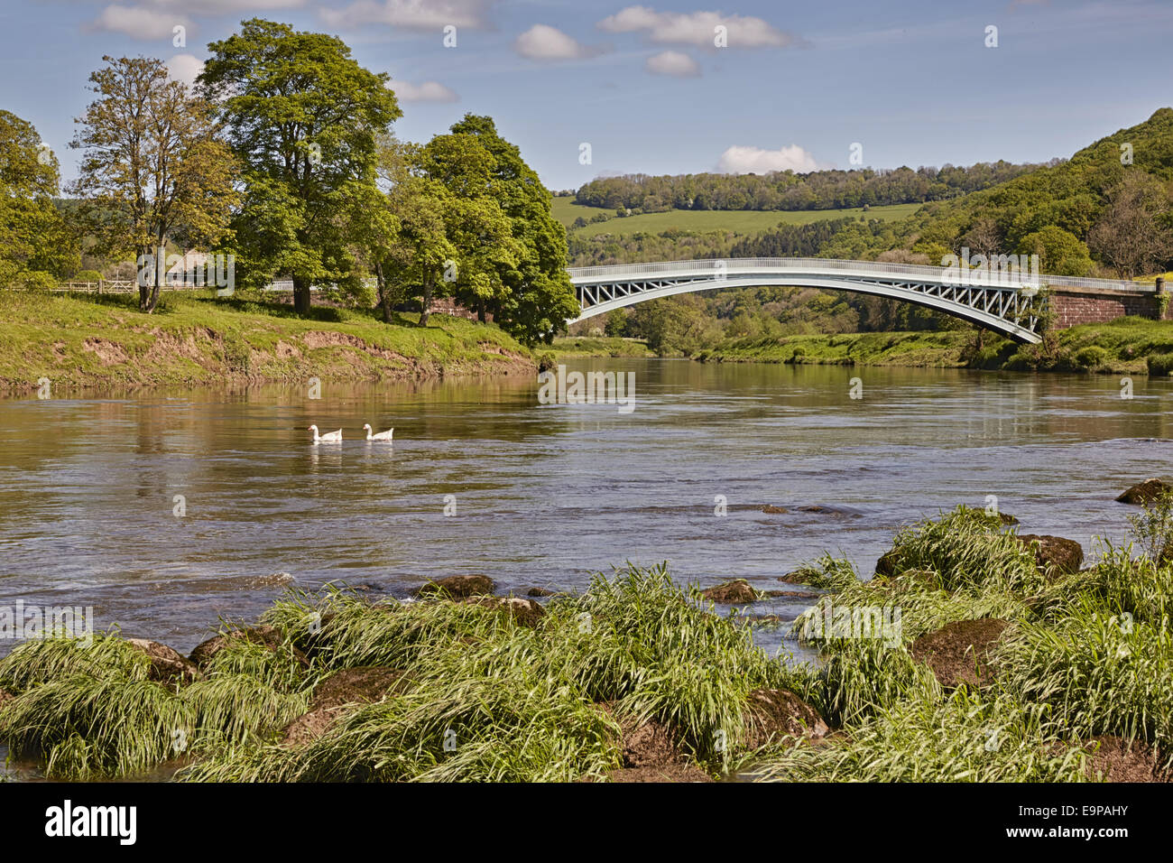 Vue sur la rivière, piscine d'oies et de pont, pont, Bigsweir Bigsweir, rivière Wye, vallée de la Wye, Monmouthshire, Wales, Mai Banque D'Images