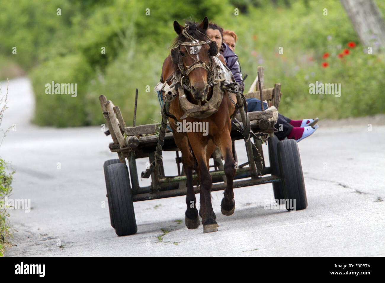 Vieille ferme cheval et panier sur routes de campagne, la Bulgarie. Banque D'Images