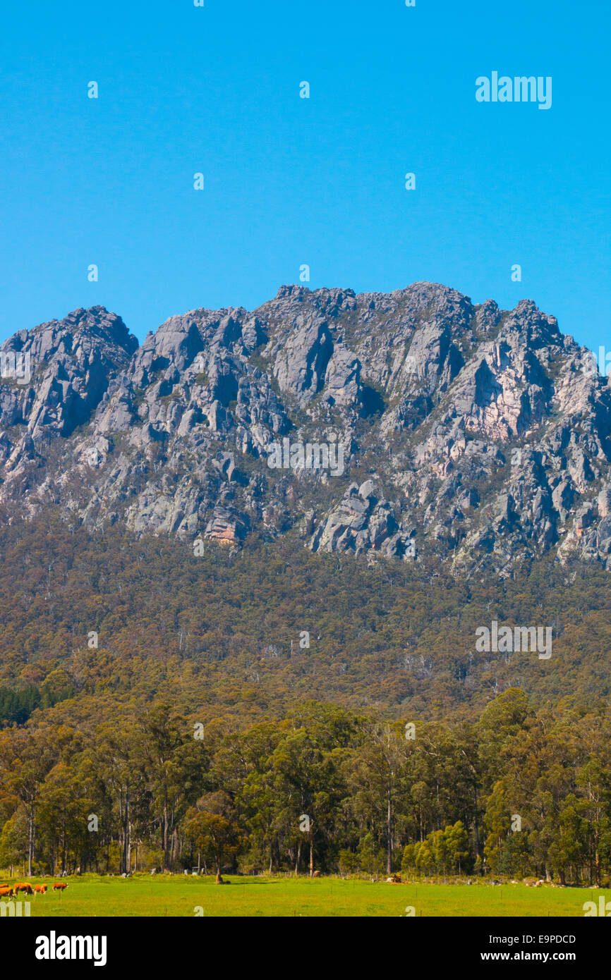 Vue du Mont Roland de Sheffield au nord-est de la Tasmanie, Australie, se situe à 1233m au-dessus du niveau de la mer Banque D'Images