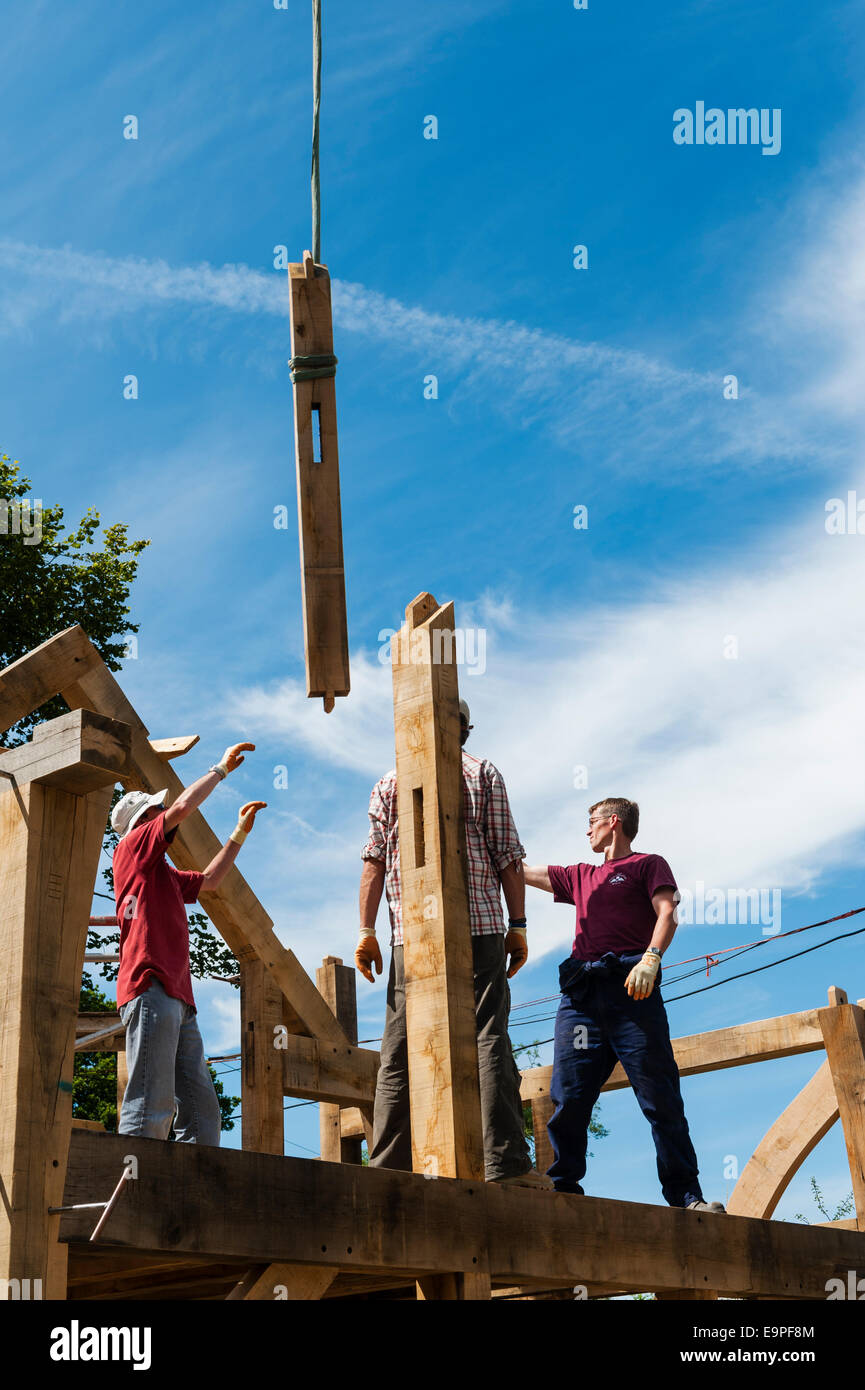 La construction d'une maison traditionnelle en bois de chêne, Herefordshire, UK Banque D'Images