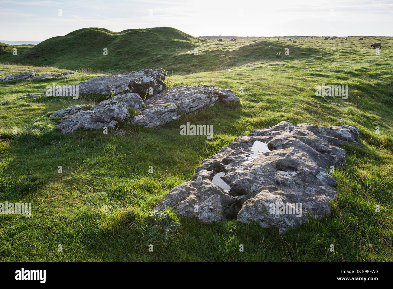 Des pierres sur le cercle de pierre basse Arbor dans le Peak District, Derbyshire. Un henge néolithique qui est une destination touristique populaire. Banque D'Images