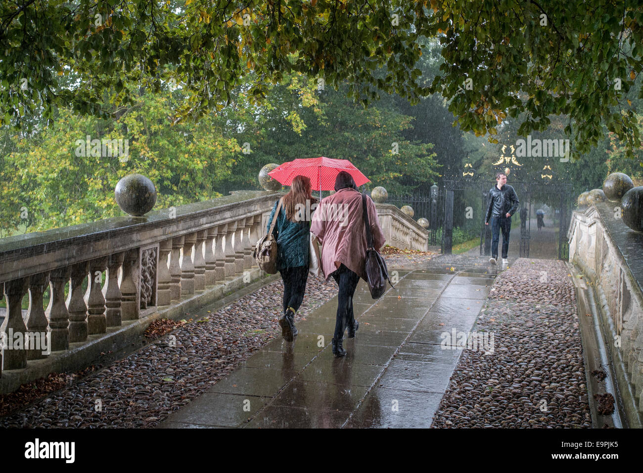 trempe par la pluie banque d image et photos alamy