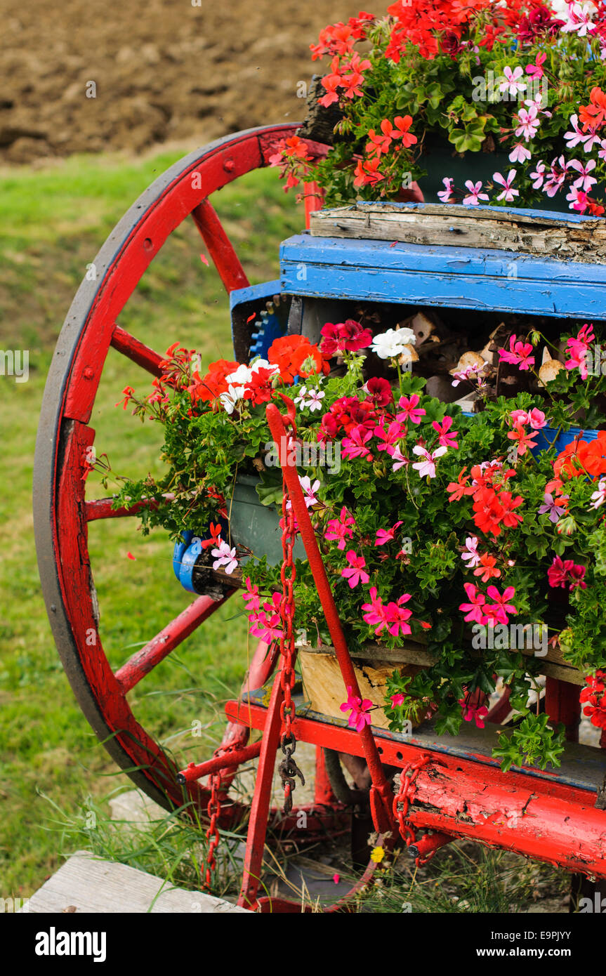 Vieille machine d'ensemencement colorées décorées de fleurs. Aythorpe Schmidthof, Essex, Angleterre, RU Banque D'Images