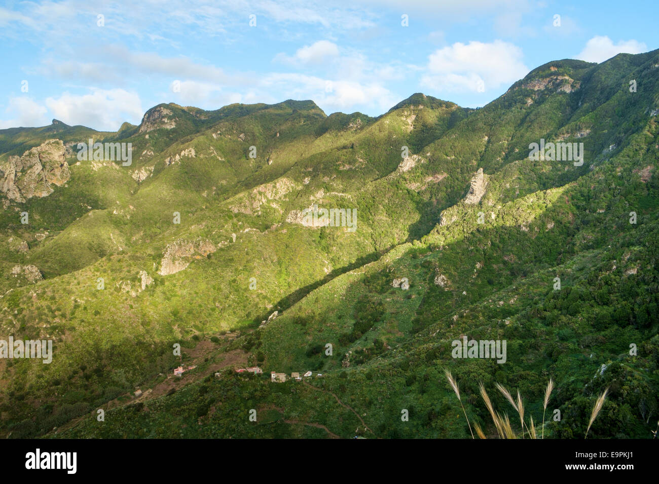 Les montagnes d'Anaga, Tenerife, Îles Canaries Banque D'Images