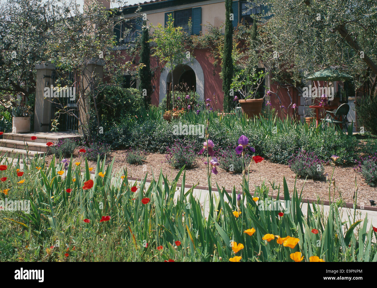 Les fleurs de printemps dans le jardin de la Villa Abbondanza, Los Angeles, USA. Banque D'Images