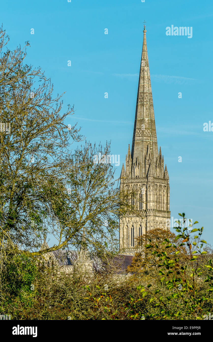 Salisbury, Royaume-Uni. 31 octobre, 2014. La cathédrale de Salisbury en belle lumière dorée aujourd'hui une fin parfaite à octobre Crédit : Paul Chambers/Alamy Live News Banque D'Images