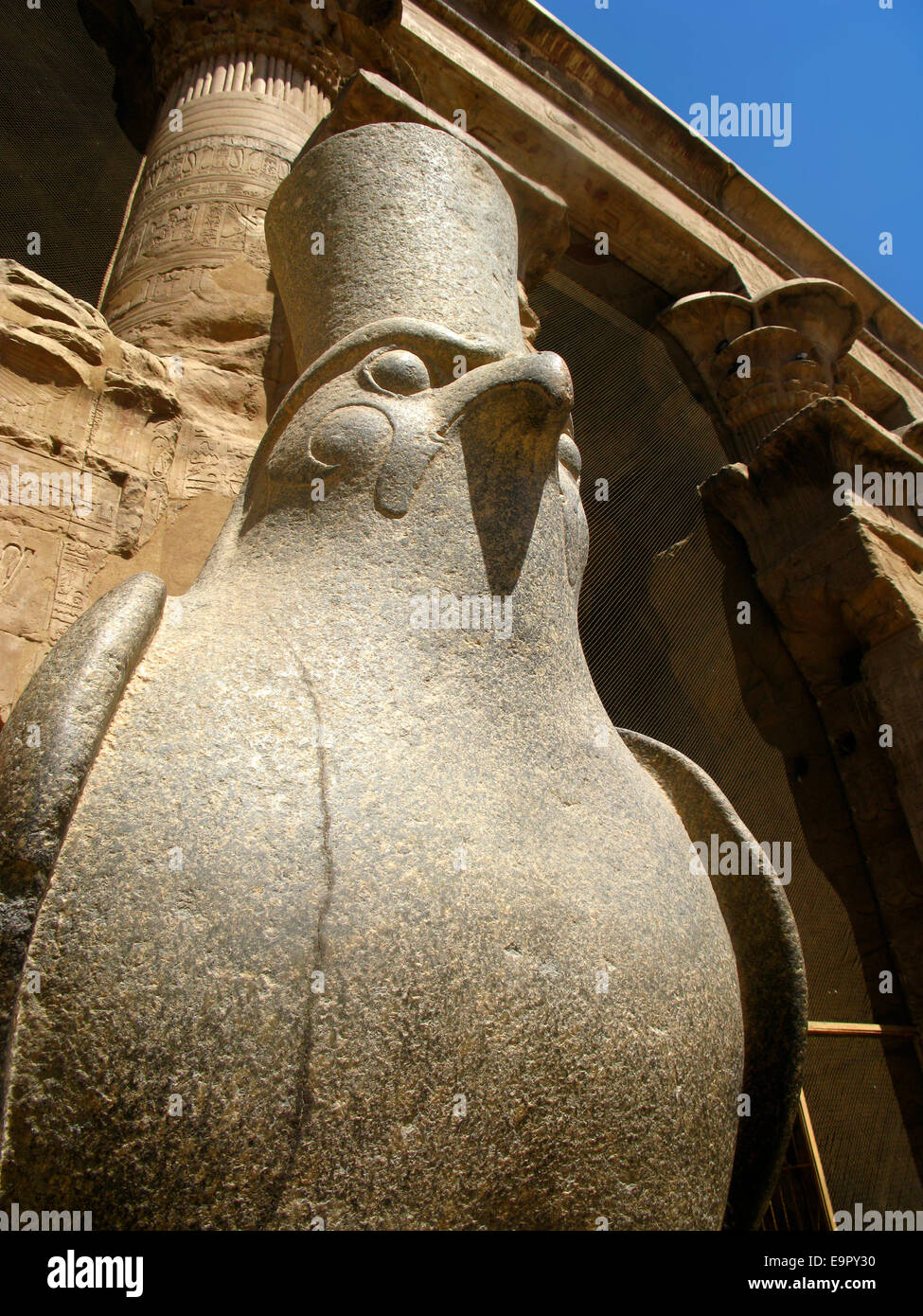 Statue en granit du dieu faucon Horus égyptien à l'intérieur du temple d'Edfou, Egypte. Banque D'Images