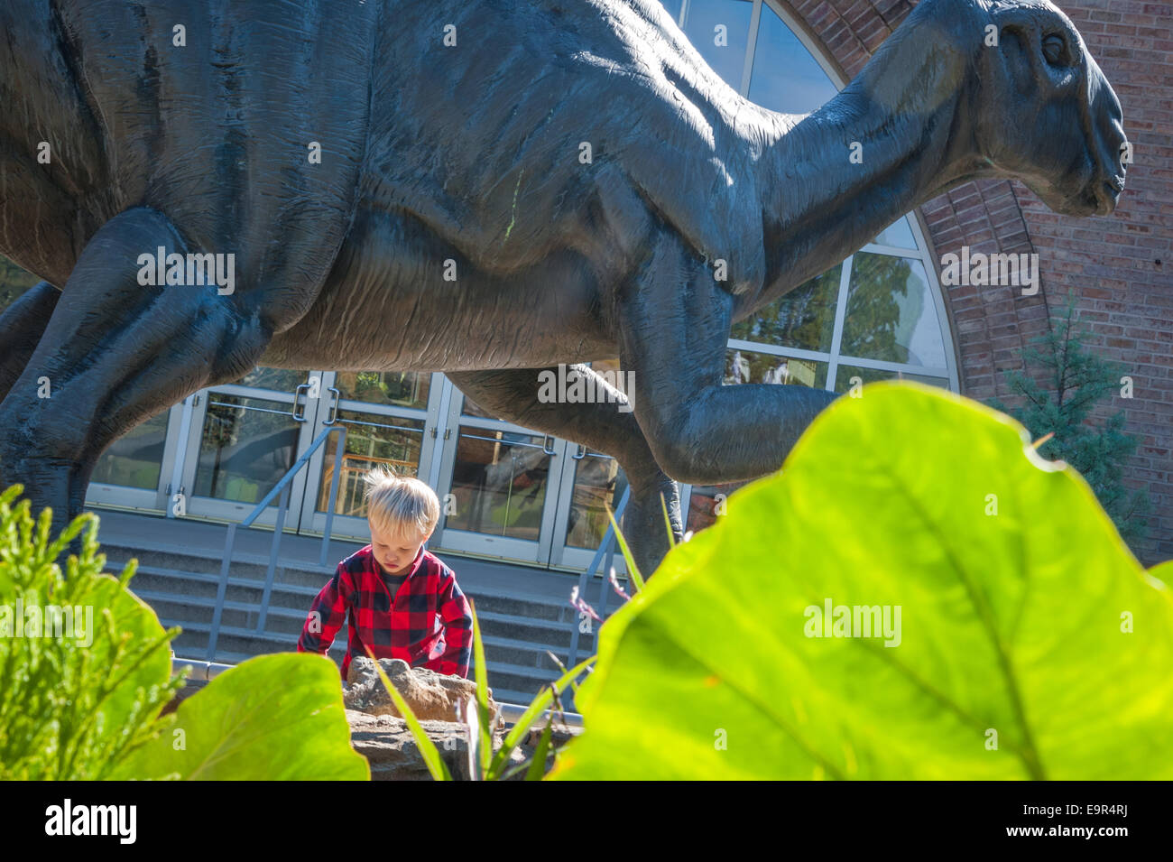 Enfant curieux et life-size dinosaure à l'entrée de l'Atlanta Fernbank Museum of Natural History. USA. Banque D'Images