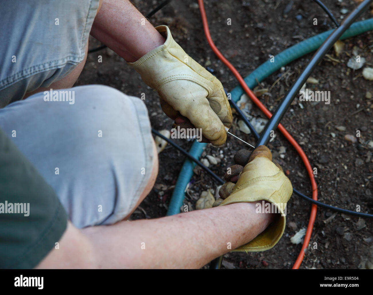 Un homme travaille sur son projet de bricolage d'installer son propre système d'émetteur d'irrigation. Banque D'Images