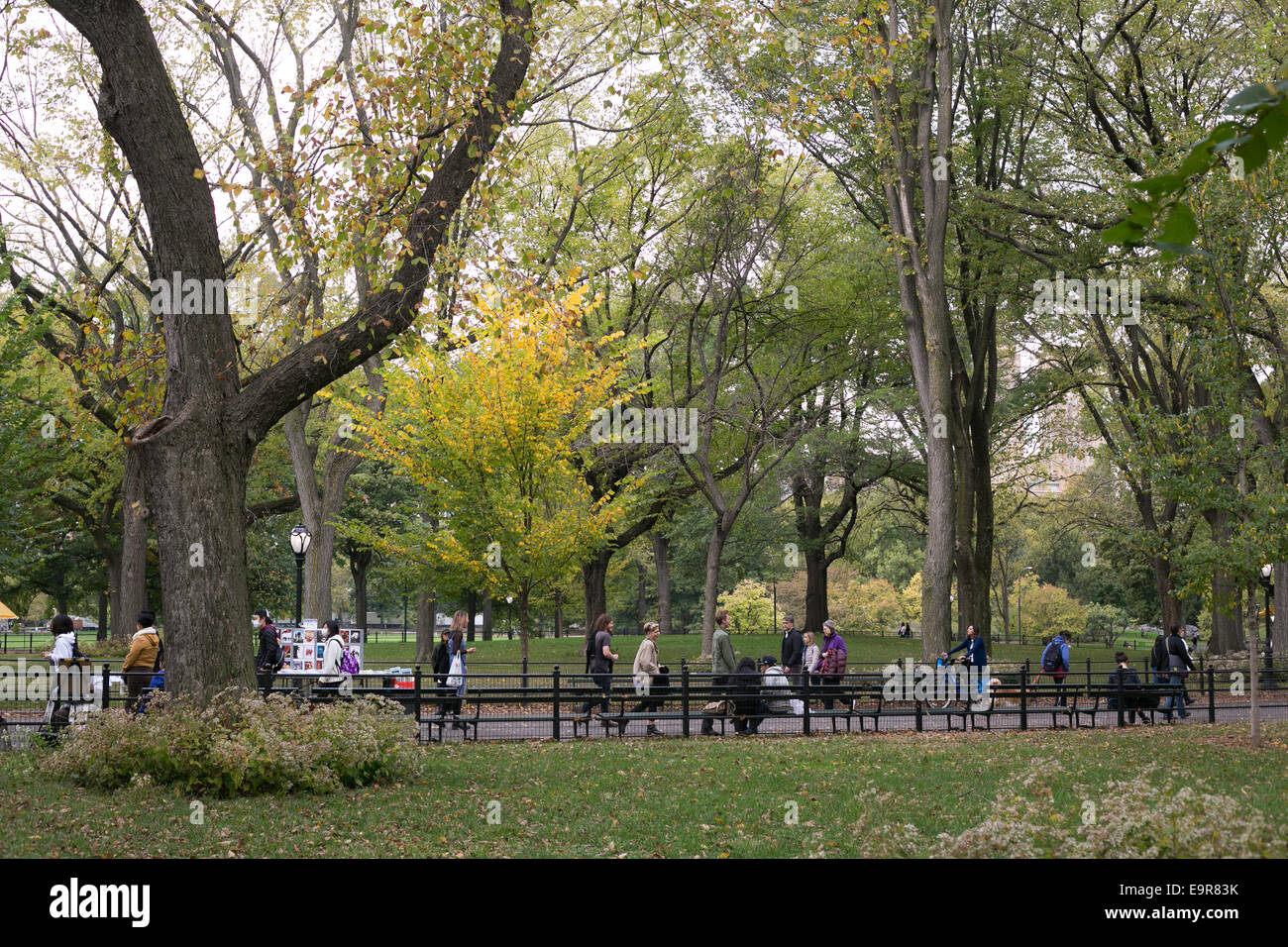 Les gens qui marchent sur le Mall bordé d'arbres, dans Central Park, New York City. Banque D'Images