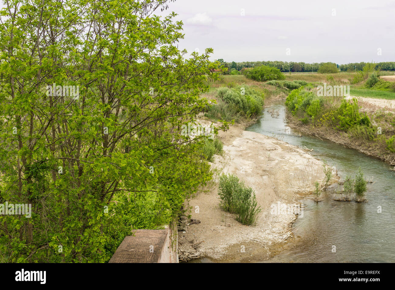 Les arbres et les mauvaises herbes sur la rivière Senio près de Cotignola dans la campagne italienne Banque D'Images