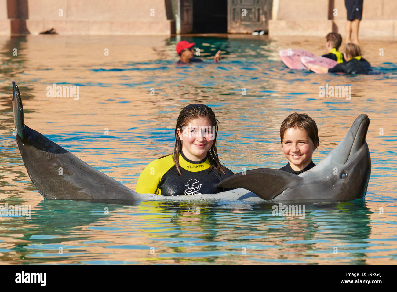 rencontre avec les dauphins dubai