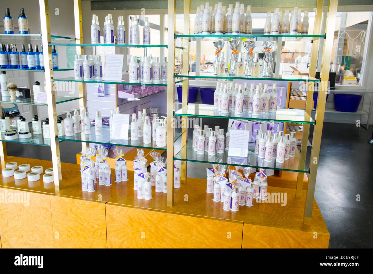 Lavender House en Tasmanie, produit des produits à base de lavande et vend directement au public,Tasmanie, Australie Banque D'Images