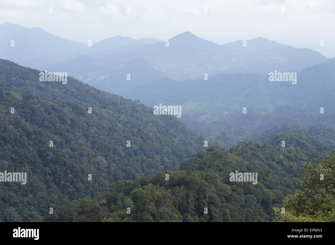 Titiwangsa montagnes, de montagnes tropicales en Malaisie Banque D'Images