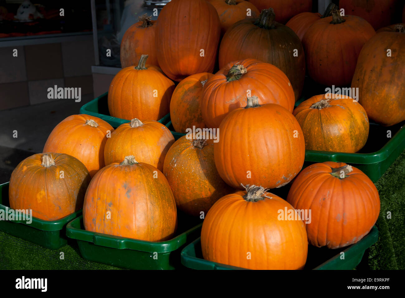 Pumpkins en vente pour l'Halloween à Leigh-on-Sea, Essex, Angleterre, Royaume-Uni. Banque D'Images