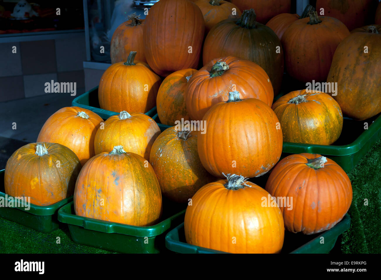 Pumpkins en vente pour l'Halloween à Leigh-on-Sea, Essex, Angleterre, Royaume-Uni. Banque D'Images