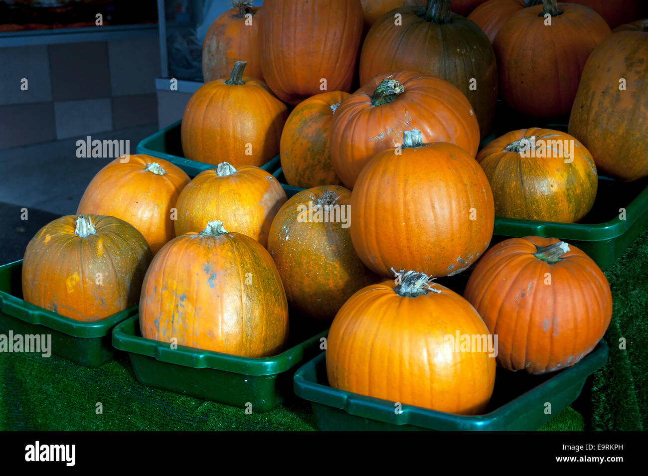 Pumpkins en vente pour l'Halloween à Leigh-on-Sea, Essex, Angleterre, Royaume-Uni. Banque D'Images