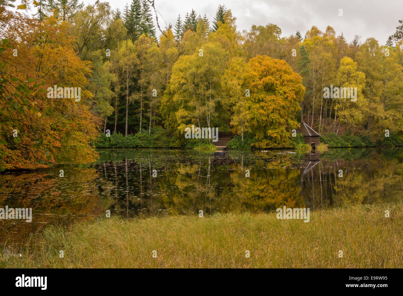 Loch Dunmore, Faskally, Pitlochry, Écosse, Royaume-Uni Banque D'Images