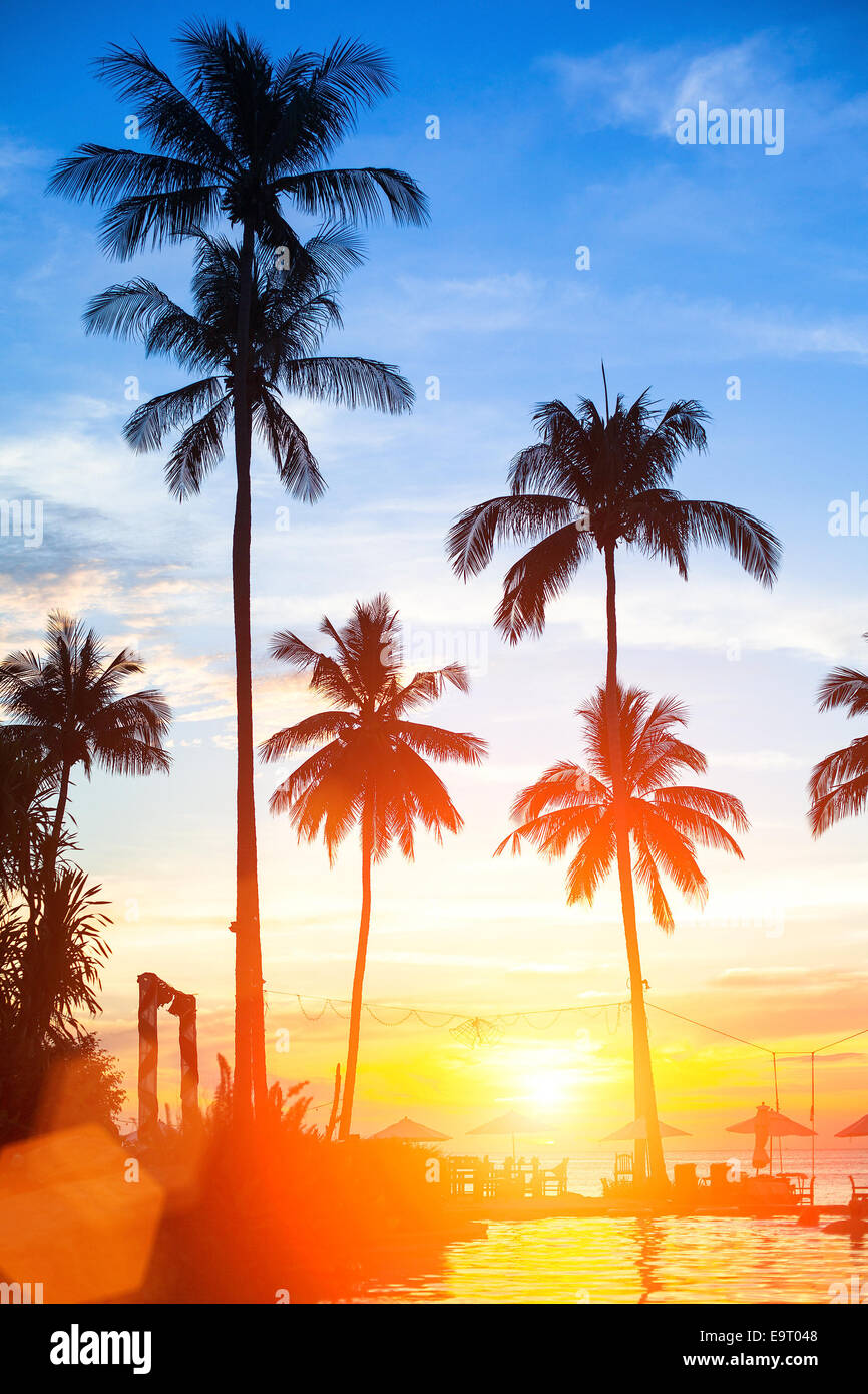 Magnifique coucher de soleil sur une plage tropicale. Banque D'Images