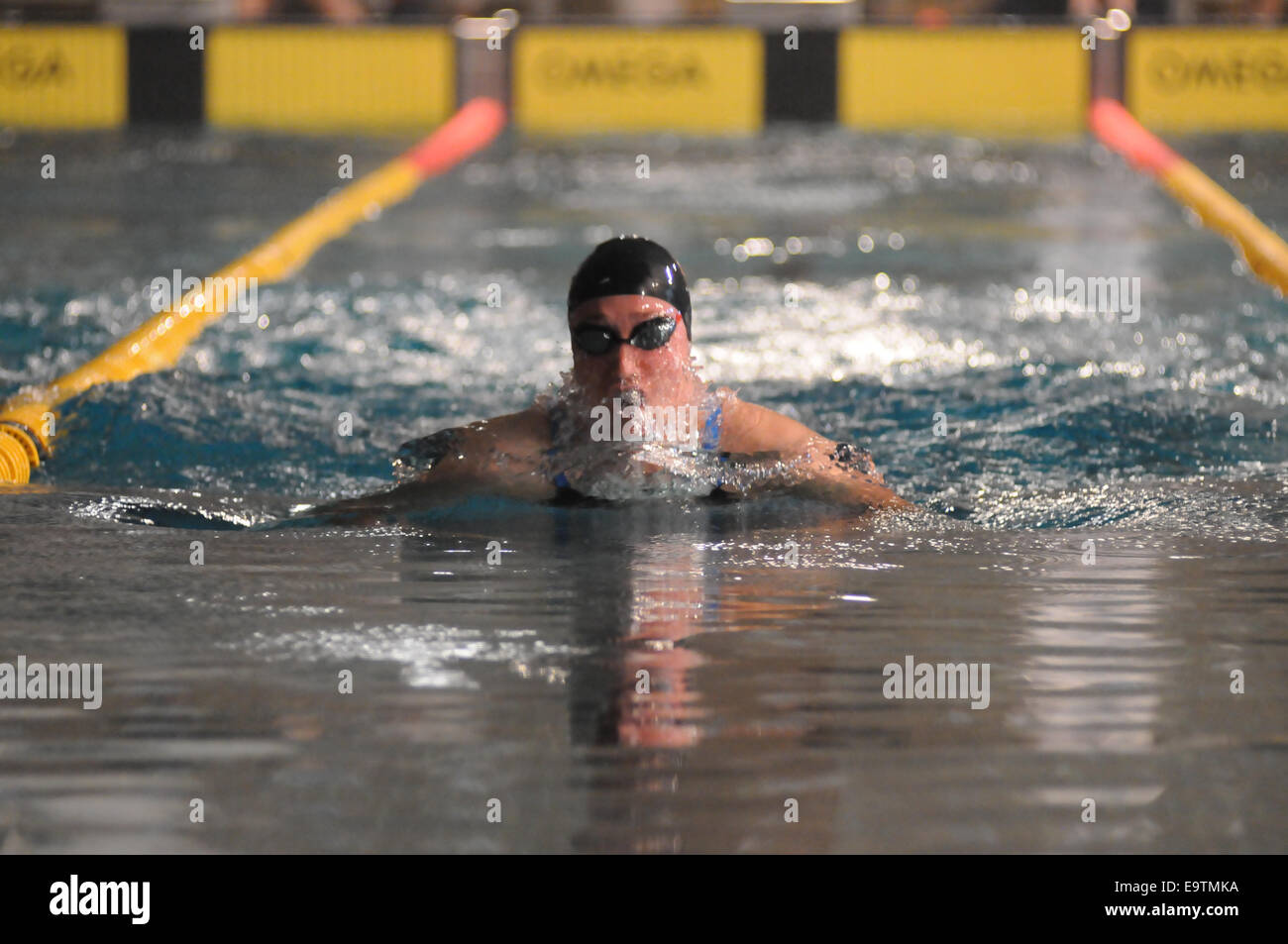 200m breastroke détenteur du record du monde de Rikke Moller Pedersen Danemark au Festival de Natation 2014 Bergen Banque D'Images