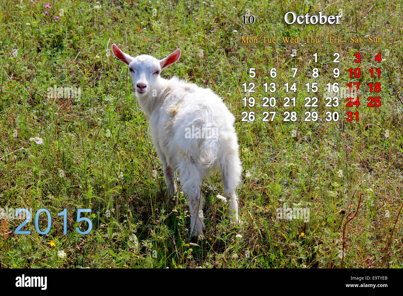 Beau Calendrier pour Octobre de l'année 2015 avec peu de bouc Banque D'Images