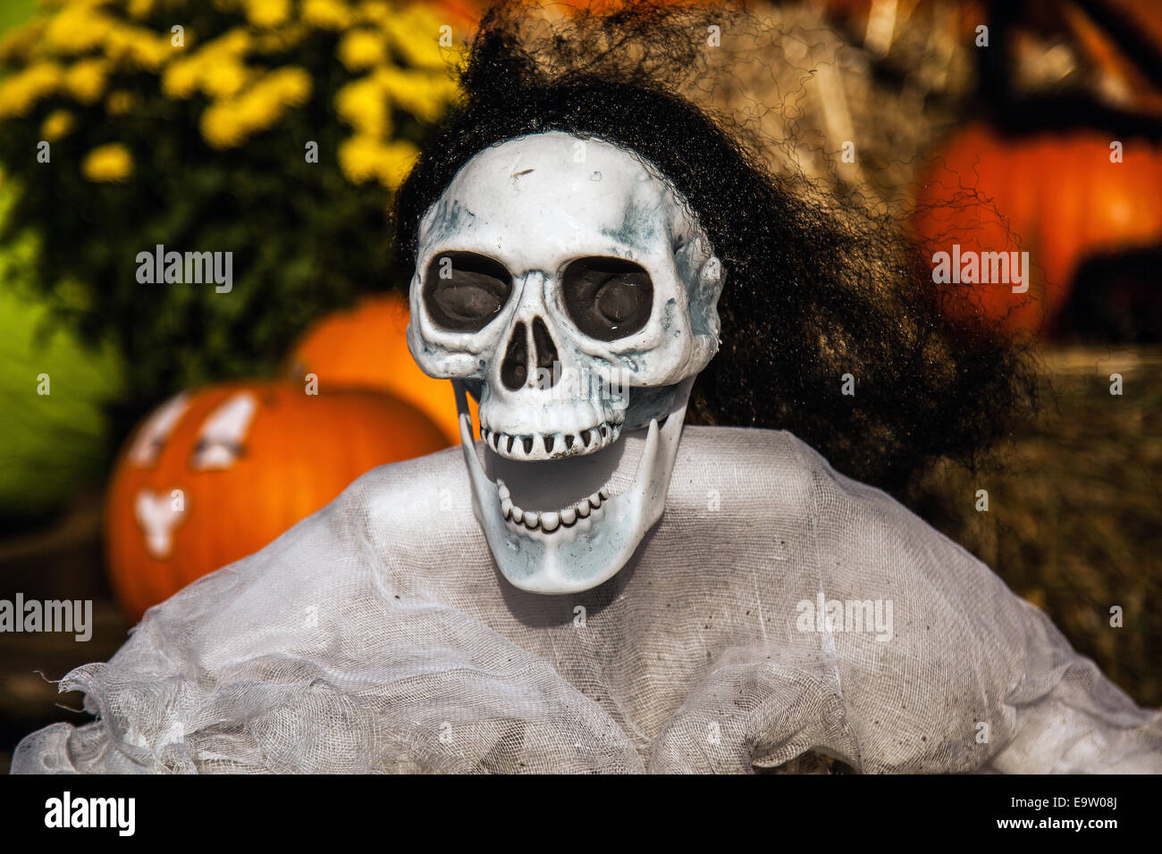 Southport, Merseyside, Royaume-Uni. 2 novembre, 2014. Happy Halloween Pleasureland. Le dernier jour de l'ouverture pour la saison 2014 a vu une multitude de personnages déguisés de l'accueil des visiteurs. Une journée consacrée à des trucs amusants, d'horribles fantômes, sorcières Halloween costumes, bizarre, wonky wizards. Banque D'Images