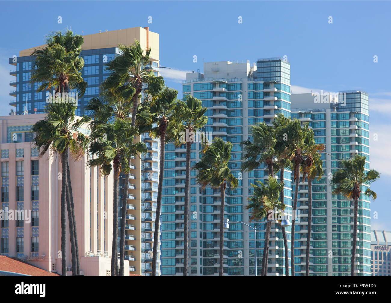 Les palmiers et les immeubles de grande hauteur à San Diego, Californie, USA. Banque D'Images