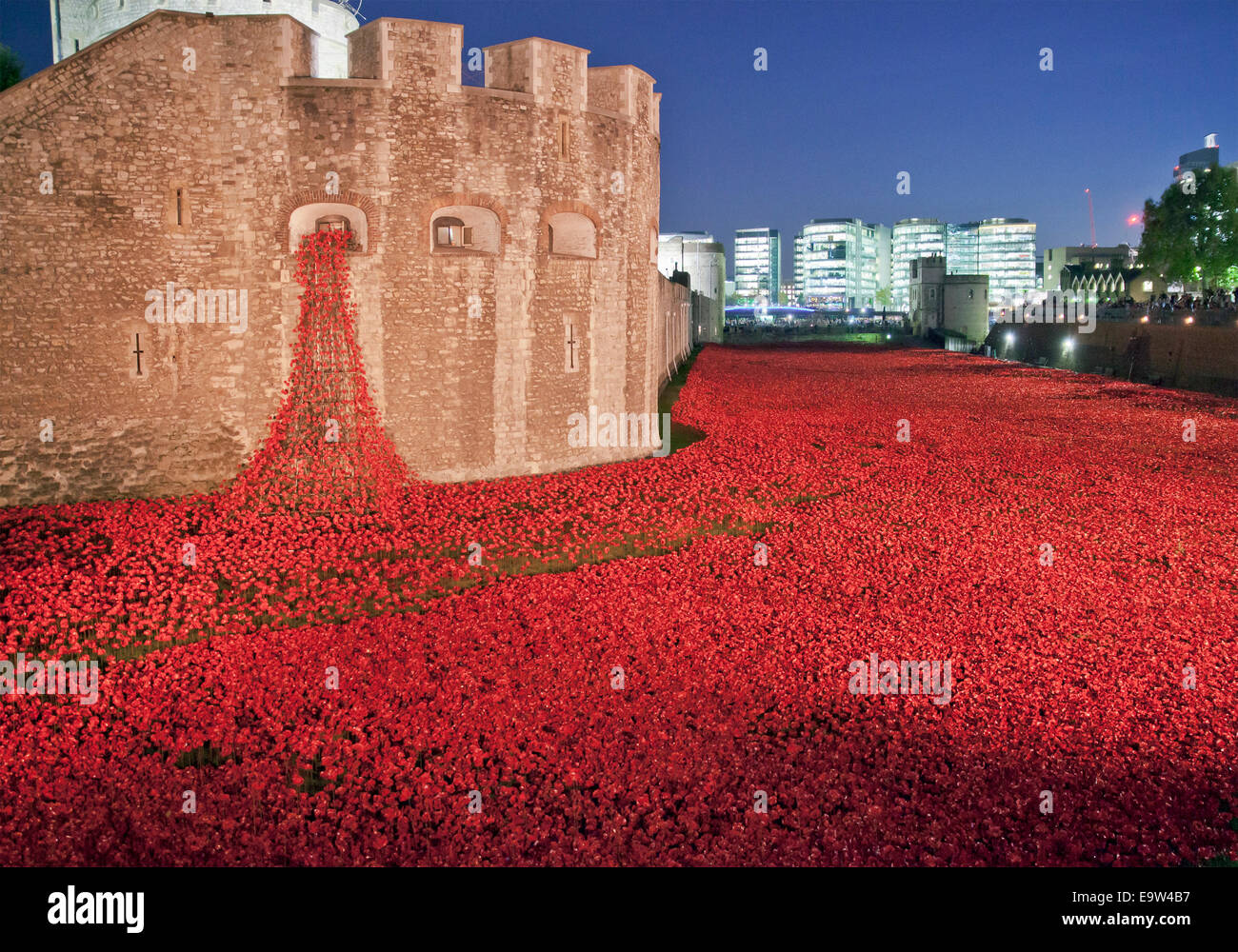 Tour de Londres les coquelicots. Banque D'Images