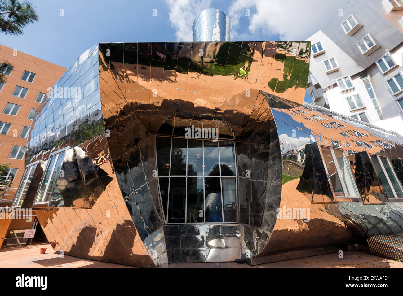 Le Ray et Maria Stata center ou d'un bâtiment 32, conçu par Frank Gehry, Cambridge, Massachusetts. Banque D'Images